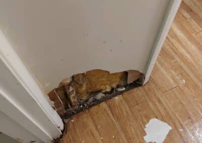 redtones decorating services facebook gallery 43