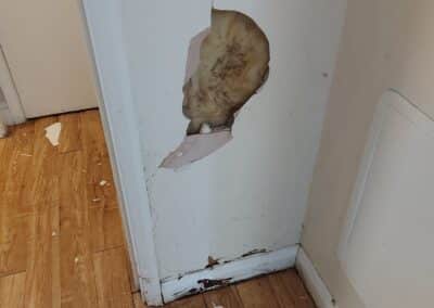 redtones decorating services facebook gallery 48